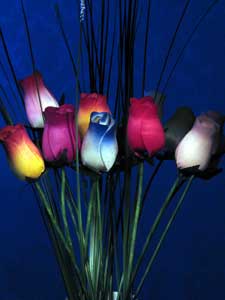 Dipingere con la luce - 2