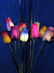 Dipingere con la luce - 3