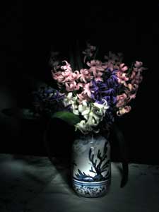 Dipingere con la luce - 4