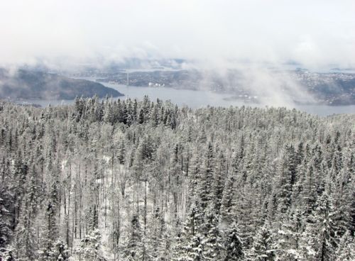 Floyen - Rundemansveien