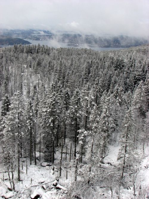 Floyen - Rundemansveien