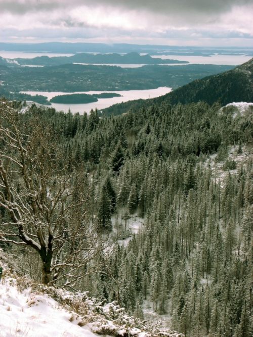 Floyen - Rundemansveien