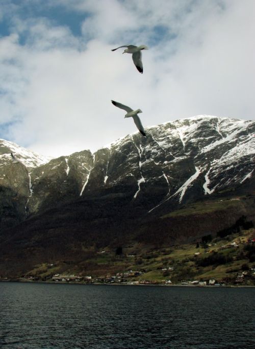 Sognefjord & Naerofjord